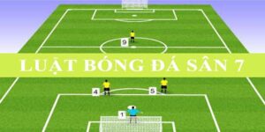 Luật Bóng Đá Sân 7 Người Mới Nhất Theo Tiêu Chuẩn VFF