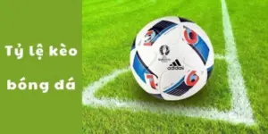 Tỷ Lệ Kèo 24h: Cập Nhật Nhanh Chóng, Cược Siêu Lợi Nhuận