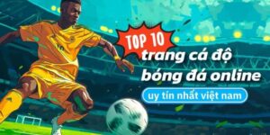 Trang Cá Độ Bóng Đá Uy Tín Và Thông Tin Tân Thủ Cần Nắm