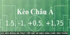 Tỷ Lệ Kèo Châu Á: Chọn Kèo Chuẩn, Thắng Đậm Dễ Dàng