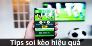 Hướng Dẫn Cách Soi Kèo Odds Cực Hiệu Quả Cho Tân Thủ
