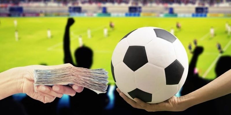 Tỷ Lệ Cá Cược Kèo Nhà Cái - Những Thông Tin Cần Biết