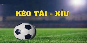 Kèo Tài Xỉu 2 2.5 Là Gì? Cách Đọc Và Kinh Nghiệm Từ Cao Thủ