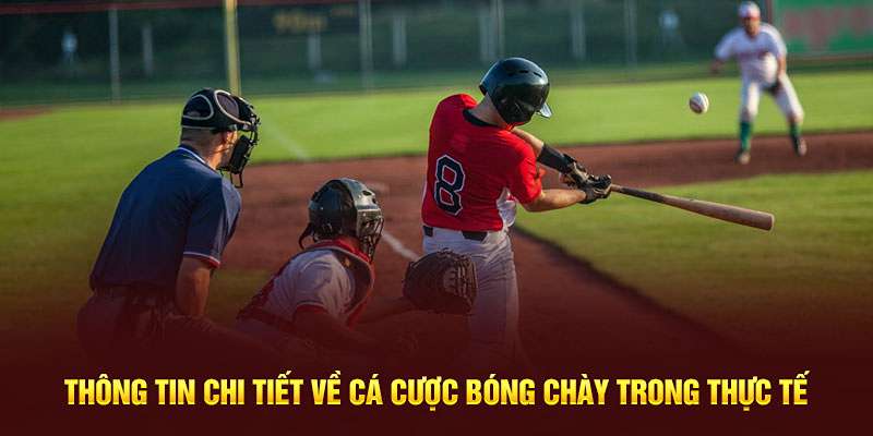 Giới thiệu qua về cá cược bóng chày