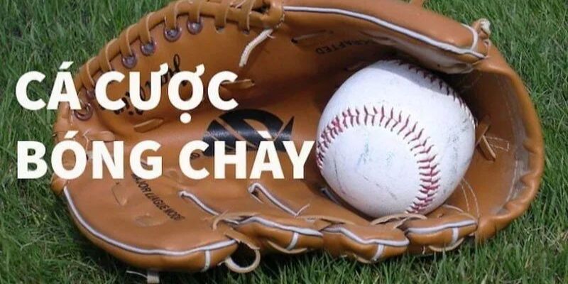 Cá Cược Bóng Chày - Loại Hình Giải Trí Thú Vị Nhất Hiện Nay