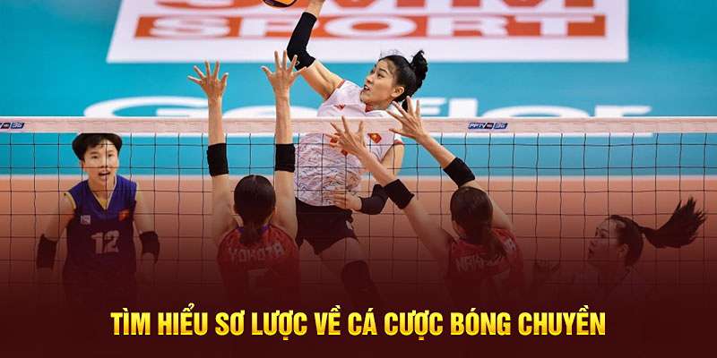 Khái niệm chi tiết cá cược bóng chuyền là gì?