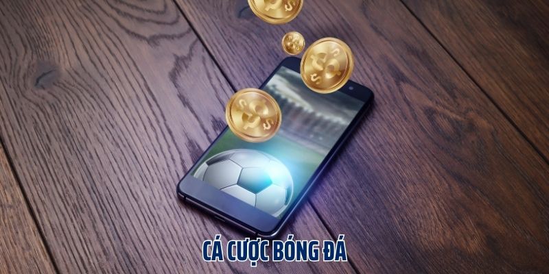 Kinh nghiệm dự đoán kết quả bóng đá chuẩn xác