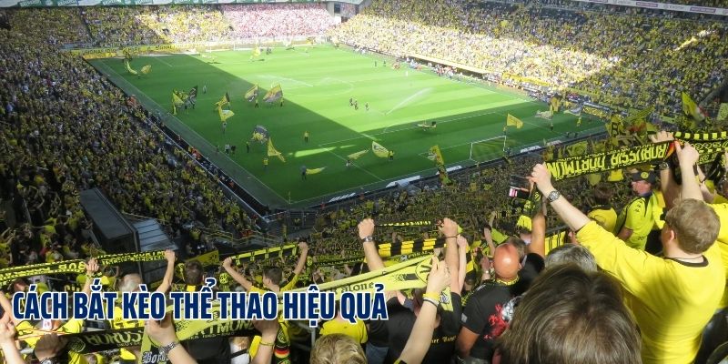 Bật Mí 4 Cách Bắt Kèo Thể Thao Hiệu Quả Đơn Giản Từ Cao Thủ