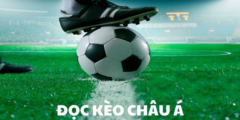 Cách đọc kèo Châu Á chuẩn xác từ cao thủ