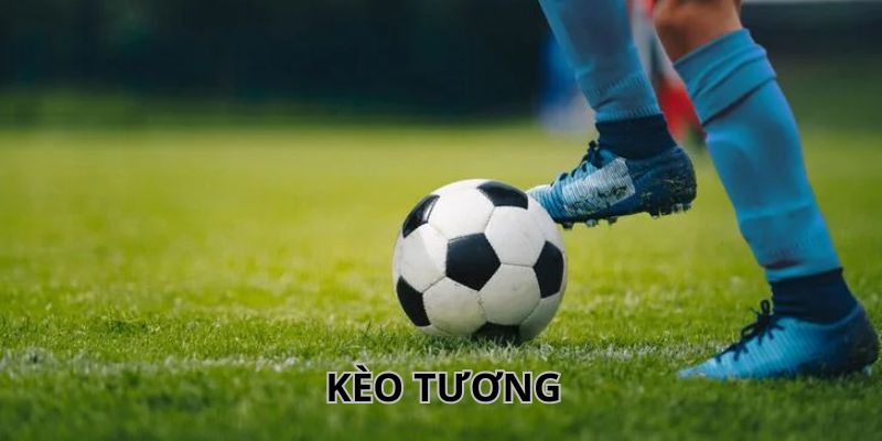 Bật mí ưu điểm nổi trội của loại hình kèo tương