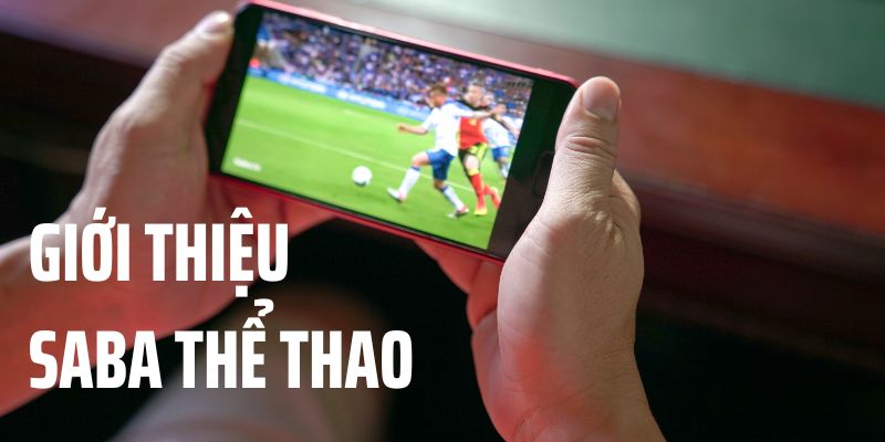 Giới thiệu sơ qua về sảnh SABA thể thao