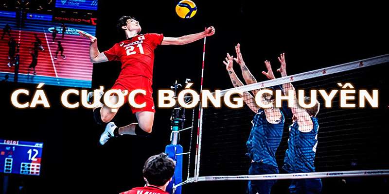 Kinh nghiệm chơi cá cược bóng chuyền ăn lớn