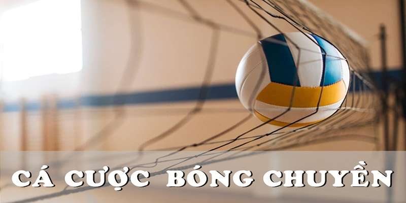 Những kèo cá cược bóng chuyền thường thấy