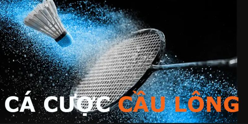 Các kèo cược thường gặp trong cá cược cầu lông tại kèo nhà cái thông minh
