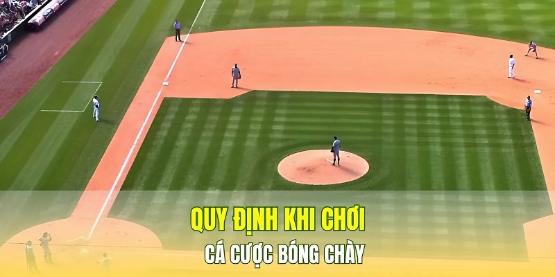 Luật chơi cơ bản trong cá cược bóng chày