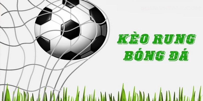 Bí quyết chơi kèo rung thắng lớn cho bạn