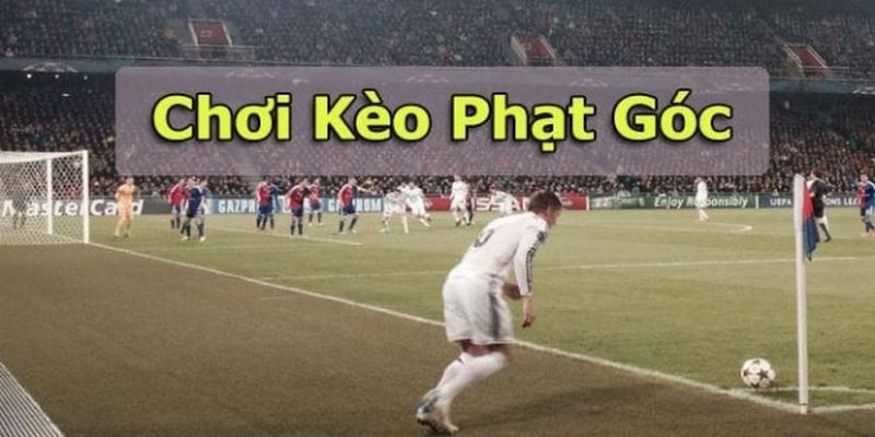 Kèo Phạt Góc - Bí Kíp Dự Đoán Đặt Tiền Siêu Chuẩn