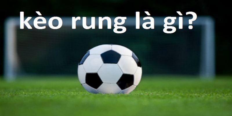 Cách đọc kèo rung đơn giản cho newbie