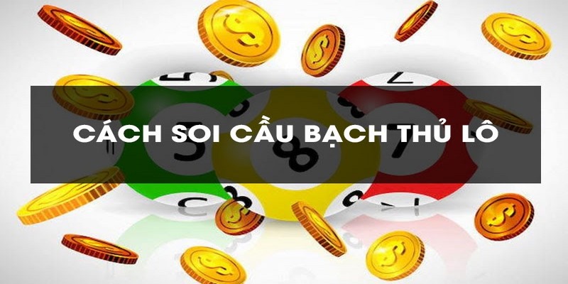 Tìm hiểu về Bạch thủ lô