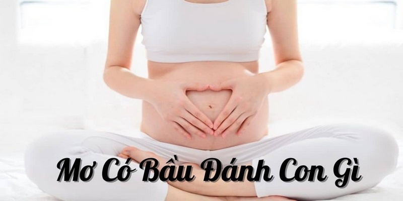 Nằm mơ thấy mình có bầu đánh số mấy vào bờ?