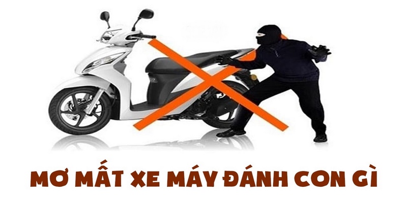 Nằm mơ mất xe máy đánh con gì thu hút nhiều tài lộc nhất