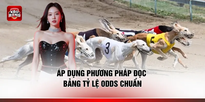 Áp dụng phương pháp đọc bảng tỷ lệ odds chuẩn