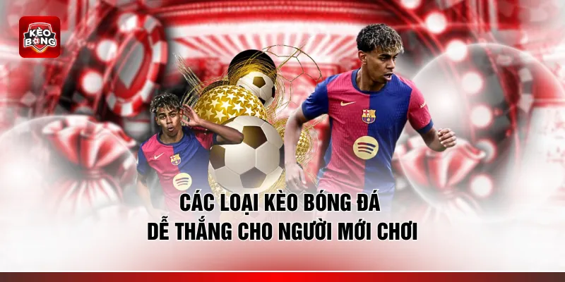 Các loại kèo bóng đá dễ thắng cho người mới chơi