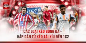Các Loại Kèo Bóng Đá - Hấp Dẫn Từ Kèo Tài Xỉu Đến 1X2