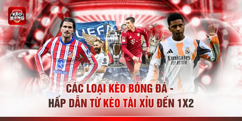 Các Loại Kèo Bóng Đá - Hấp Dẫn Từ Kèo Tài Xỉu Đến 1X2