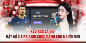 Kèo Aos Là Gì? Bật Mí 3 Tips Chơi Cược Dành Cho Người Mới