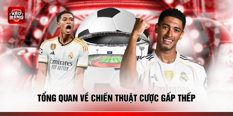 Tổng quan về chiến thuật cược gấp thếp