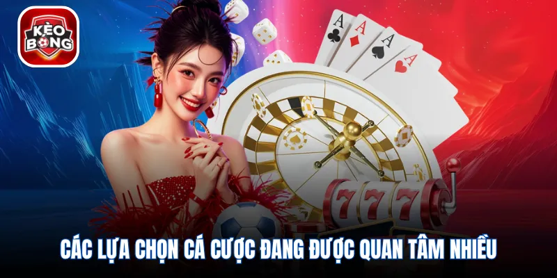Các lựa chọn cá cược đang được quan tâm nhiều