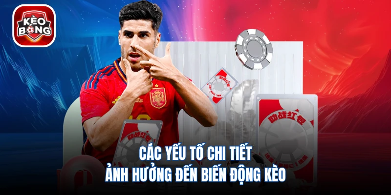 Các yếu tố chi tiết ảnh hưởng đến biến động kèo