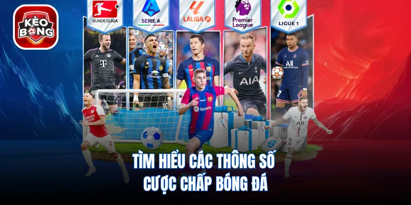 Tìm hiểu các thông số cược chấp bóng đá
