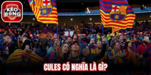 Cules Có Nghĩa Là Gì