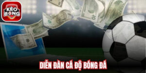 Diễn Đàn Cá Độ Bóng Đá