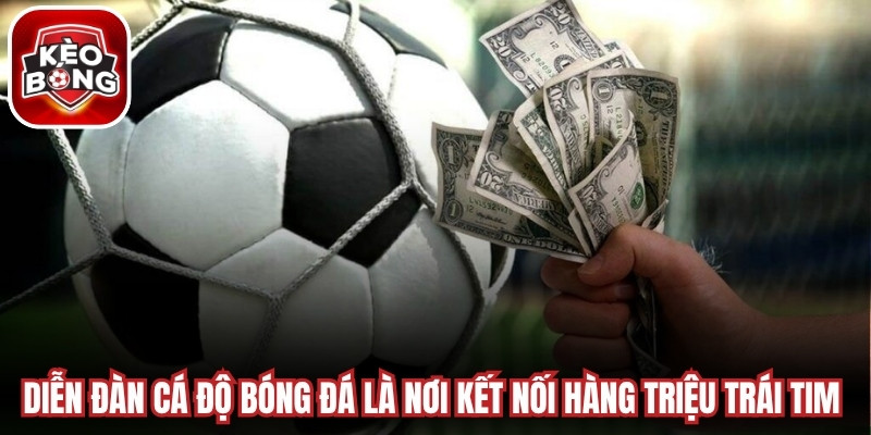 Diễn đàn cá độ bóng đá là nơi kết nối hàng triệu trái tim đam mê sân cỏ