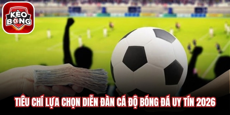 Tiêu chí lựa chọn diễn đàn cá độ bóng đá uy tín 2026