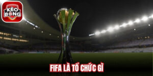 FIFA Là Tổ Chức Gì