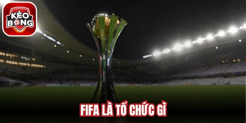 FIFA Là Tổ Chức Gì
