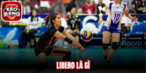 Libero Là Gì