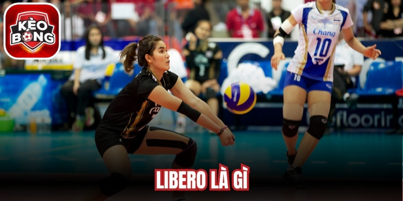Libero Là Gì