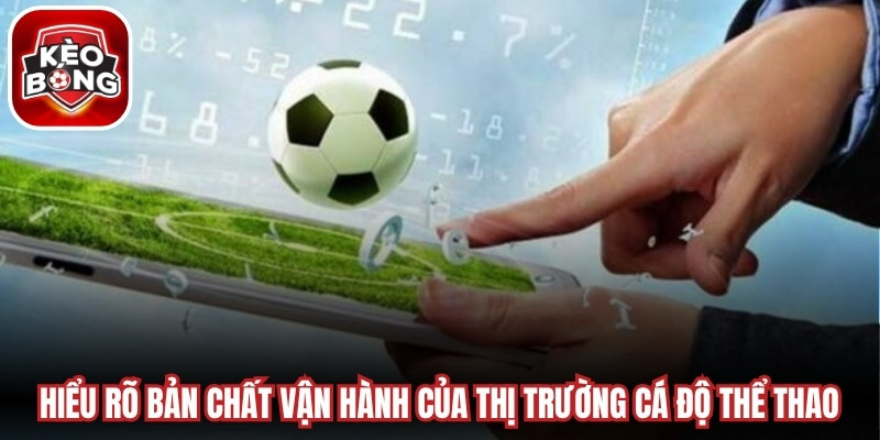 Hiểu rõ bản chất vận hành của thị trường cá độ thể thao
