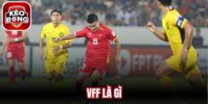 Vff Là Gì