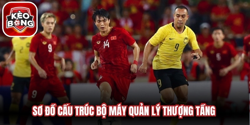 Sơ đồ cấu trúc bộ máy quản lý thượng tầng của liên đoàn