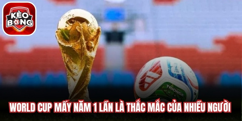 World Cup mấy năm 1 lần luôn là thắc mắc của rất nhiều người hâm mộ
