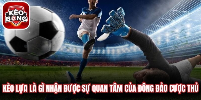 Kèo lựa là gì nhận được sự quan tâm của đông đảo anh em cược thủ