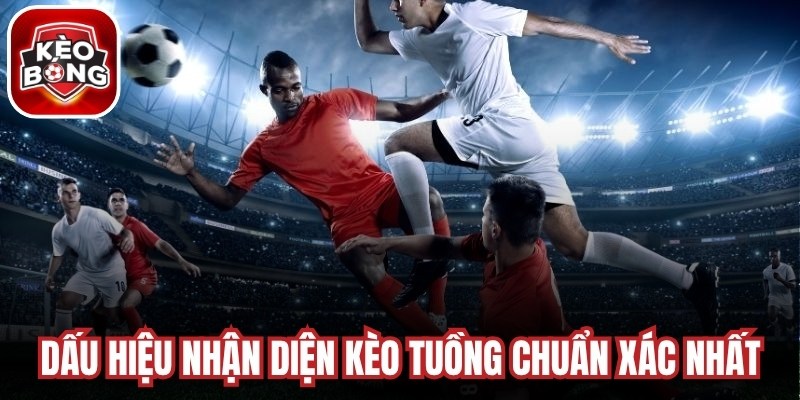 Dấu hiệu nhận diện kèo tuồng chuẩn xác nhất từ chuyên gia