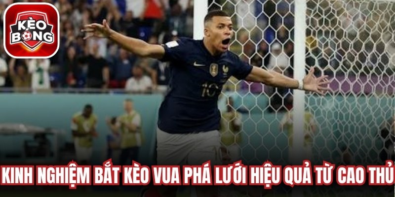 Kinh nghiệm bắt kèo vua phá lưới hiệu quả từ cao thủ