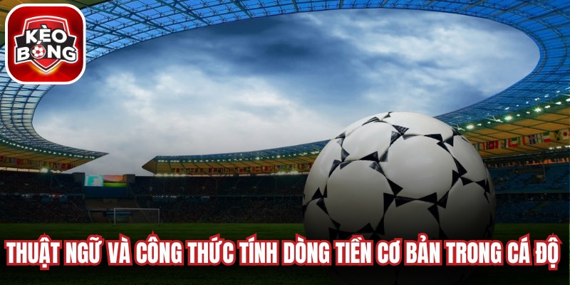 Thuật ngữ và công thức tính dòng tiền cơ bản trong cá độ dễ hiểu